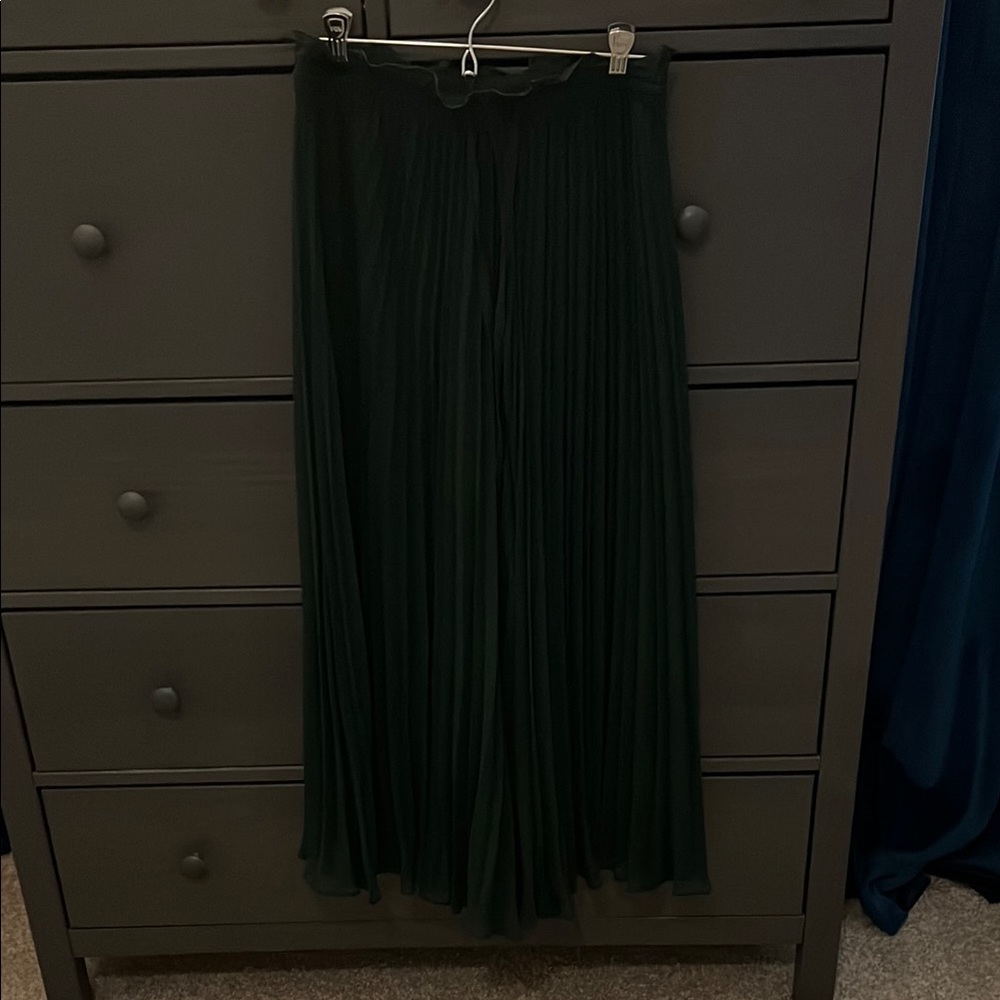 Zara Dark Green Pleated Pants/Skirt